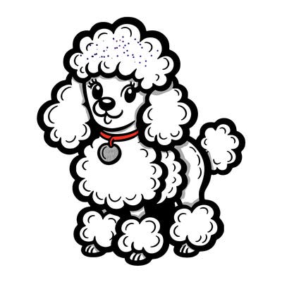 poodle