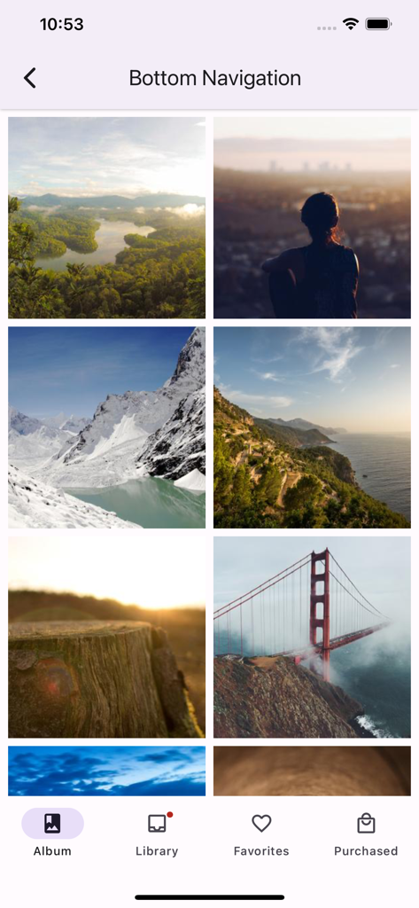 React Native Paper - A demonstration of the Material Design bottom navigation bar within the React Native Paper app showing icons for Album, Library, Favorites, and Purchased.
