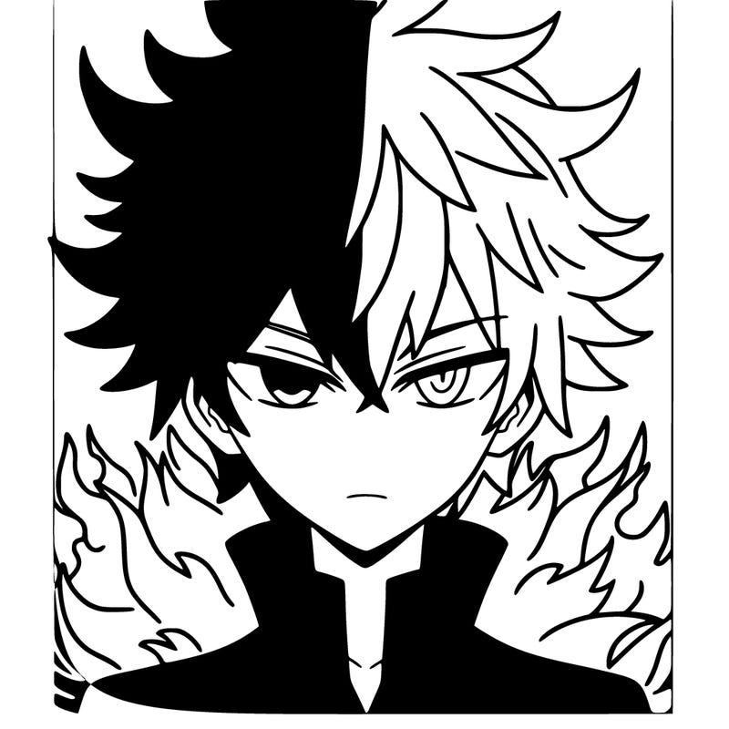 shoto todoroki in my hero academia