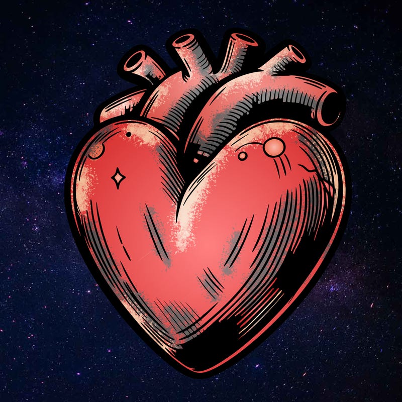 realistic heart
