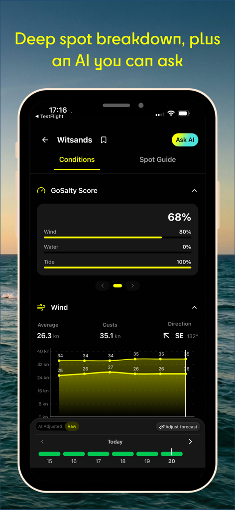 GoSalty – Kitesurf Playbook - GoSalty app screenshot showing a detailed kitesurfing spot breakdown for Witsands with wind speed, gusts, and GoSalty score.
