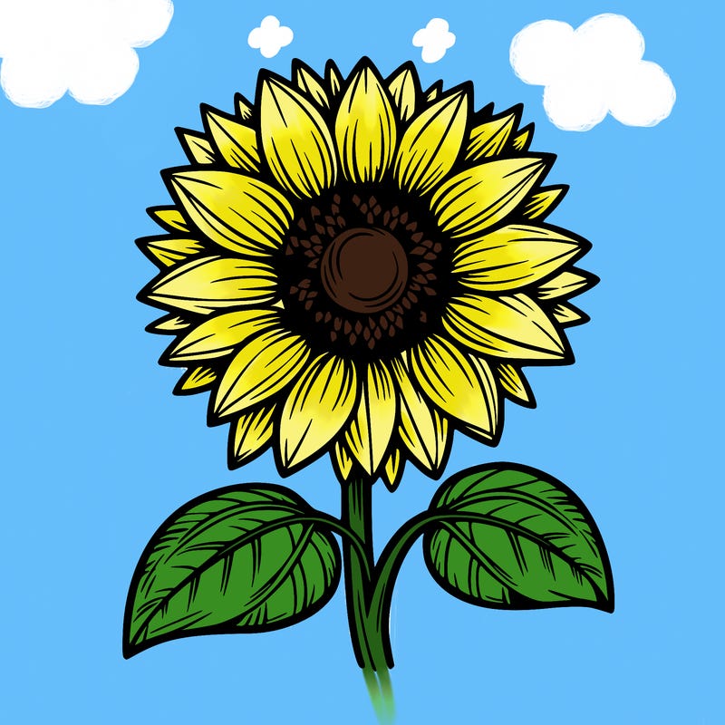 sunflower