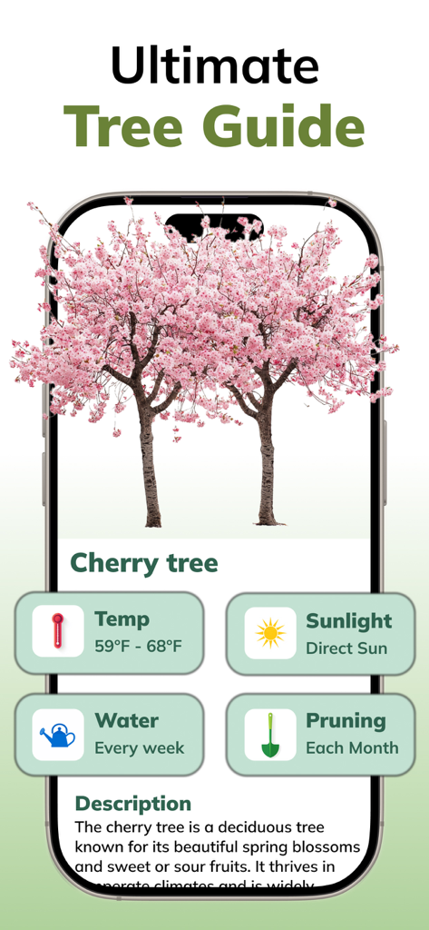 Tree Identifier AI: ID Trees - A mobile screen showing a detailed cherry tree guide with care instructions for sunlight, water, and pruning
