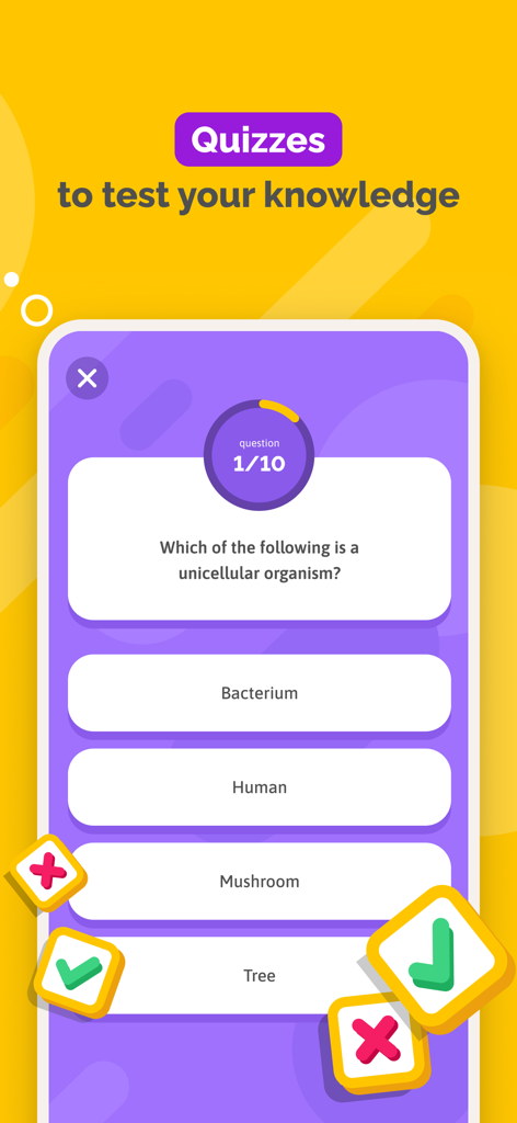 SchoolMouv Mobil-App mit einer interaktiven Biologie-Quizfrage über einzellige Organismen