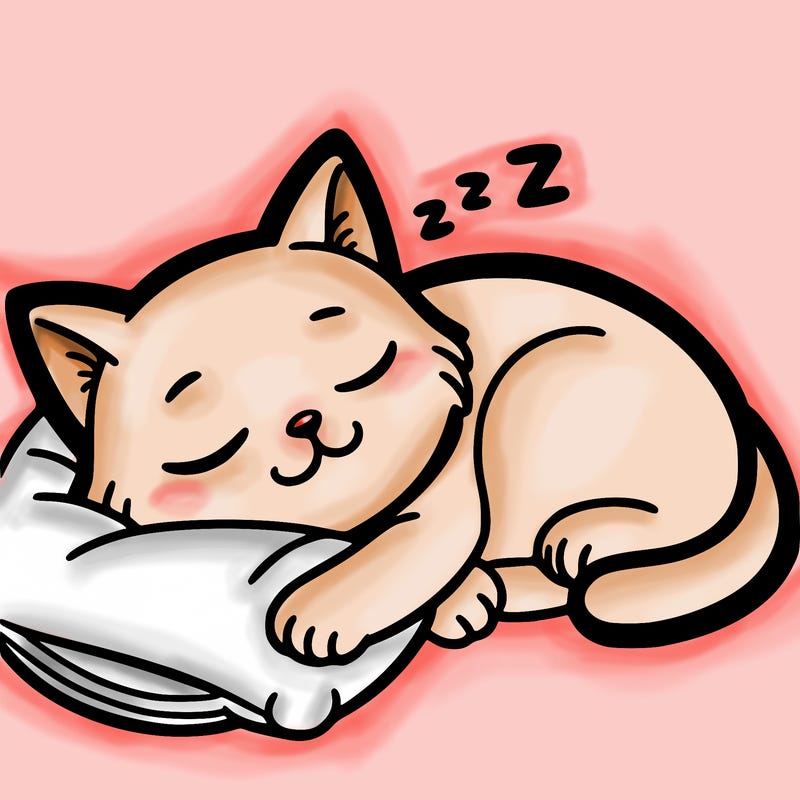 sleeping cat