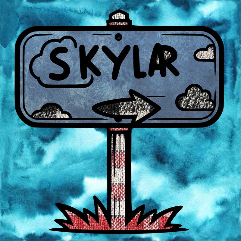 a sign that says skylar