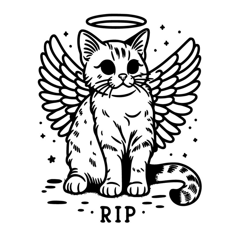 rip cat realistic cat with angel wings
