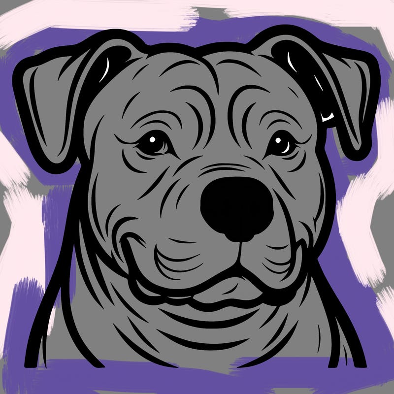 pitbull