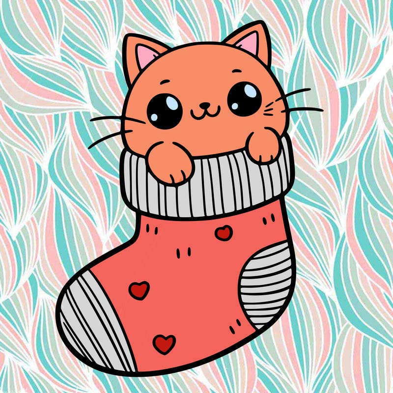 cute cat in a sock