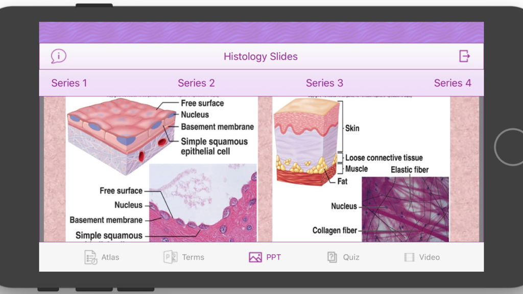 Histology Cell Tissue - Captura de tela do aplicativo Histologia Tecido Celular mostrando diagramas rotulados e lâminas microscópicas de tecidos epiteliais e de pele.