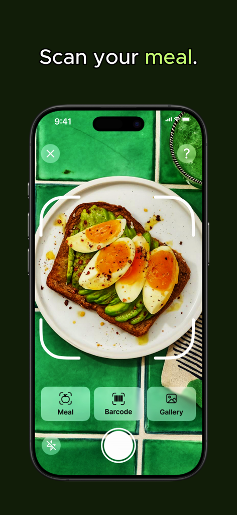 Interface do aplicativo Guru Saudável mostrando uma refeição sendo escaneada para rastreamento nutricional.