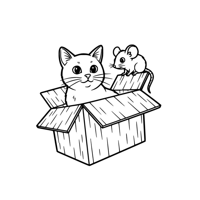 cat sitting in a box with a pet mouse