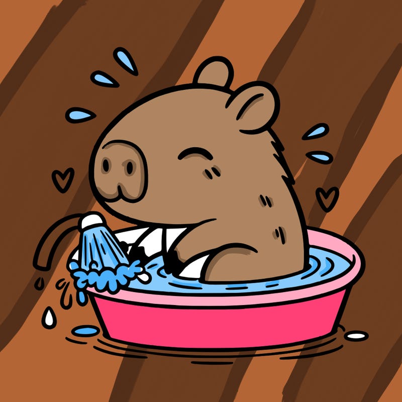 capybara taking a bath