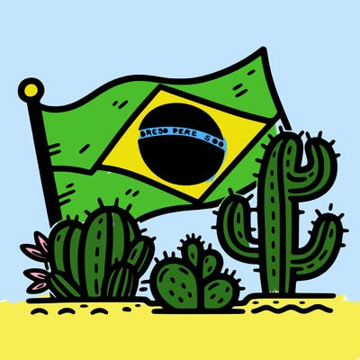 brazilian flag