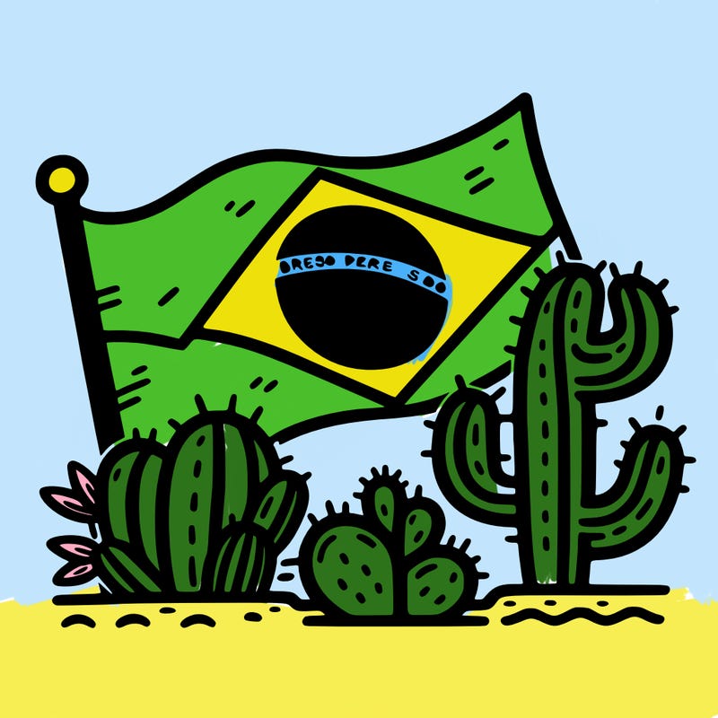 brazilian flag