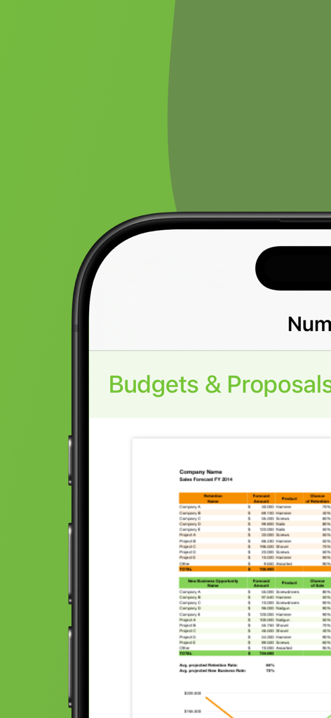 Templates for Numbers Pro - App Templates for Numbers Pro, die ein Budget- und Angebotsvorlagentabelle auf einem iPhone zeigt.