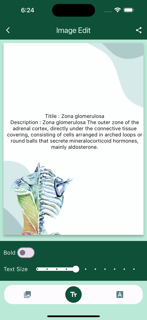 Human Anatomy And Body Parts - A mobile app interface for editing anatomical images and adding descriptive text about the zona glomerulosa
