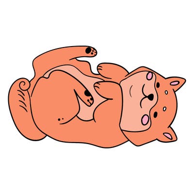 animals_30