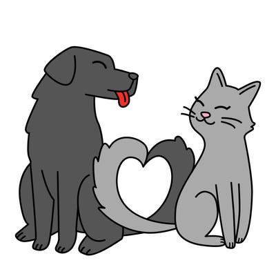 animals_22