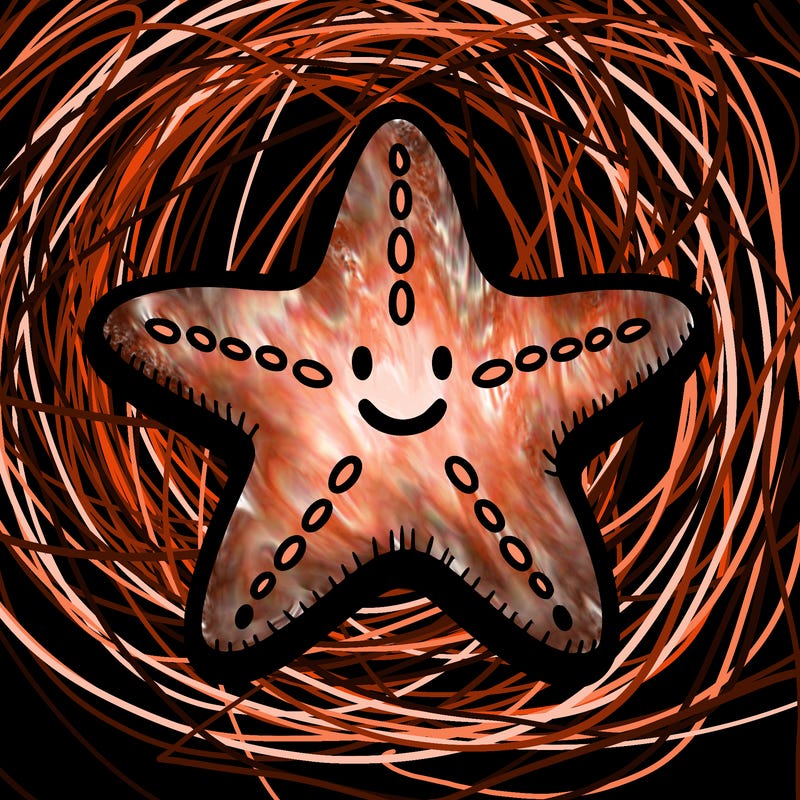 starfish