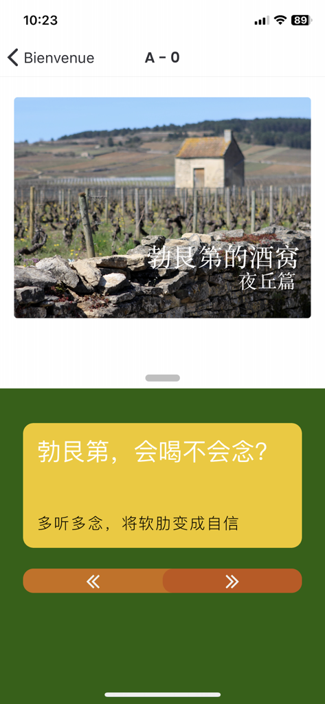 Pantalla de introducción de la aplicación Vins de Bourgogne con una foto de un viñedo de Borgoña y texto en chino para aprender la pronunciación de vinos