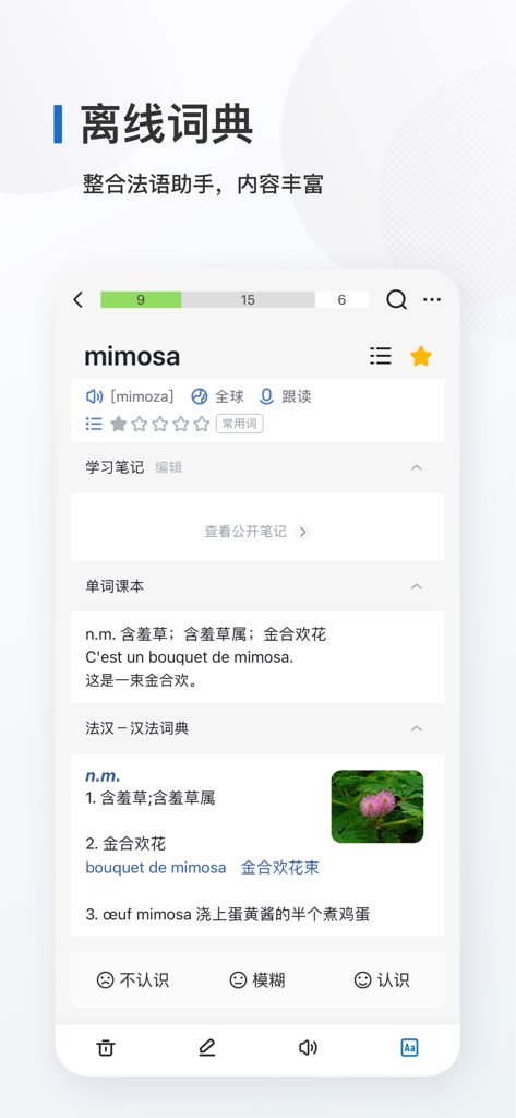 Interfaz de una aplicación móvil que muestra una entrada de diccionario francés para la palabra mimosa con traducciones al chino y oraciones de ejemplo.