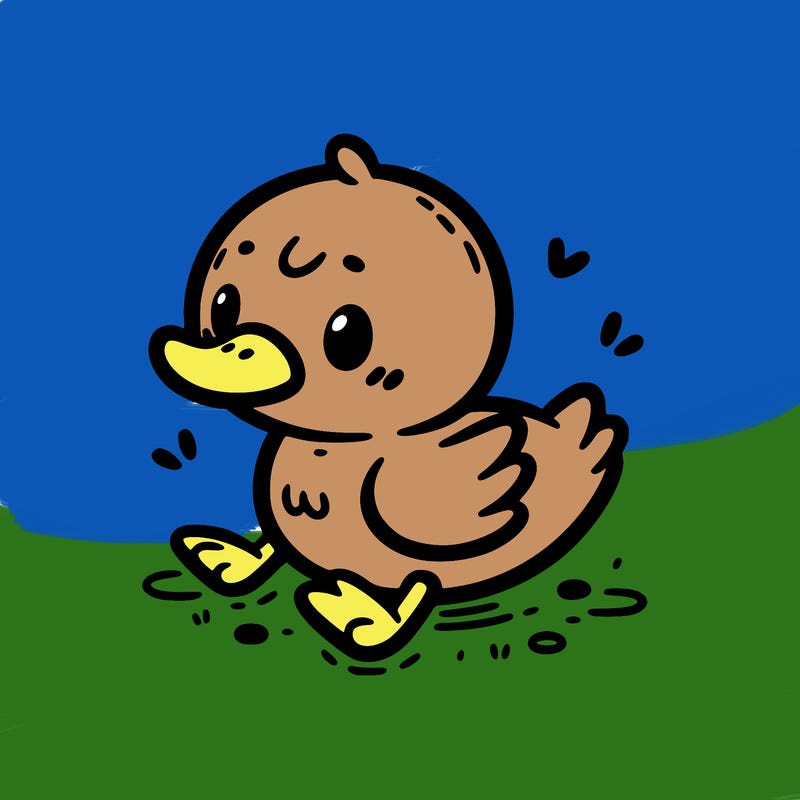 cute duck