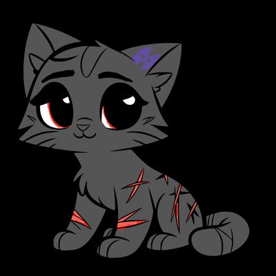 cat with scars