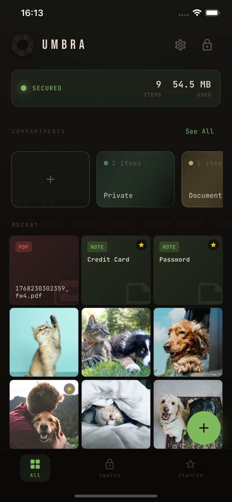 Oberfläche der Umbra Private Vault App, die verschlüsselte Dateien anzeigt, einschließlich Fotos, Dokumenten und sicheren Notizen