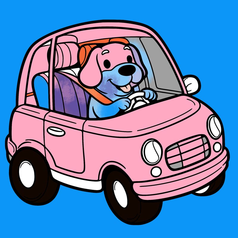 a dog in a car