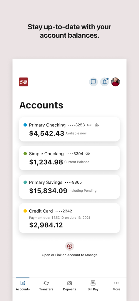 Credit Union ONE Michigan mobile app screen showing a summary of checking, savings, and credit card account balances.