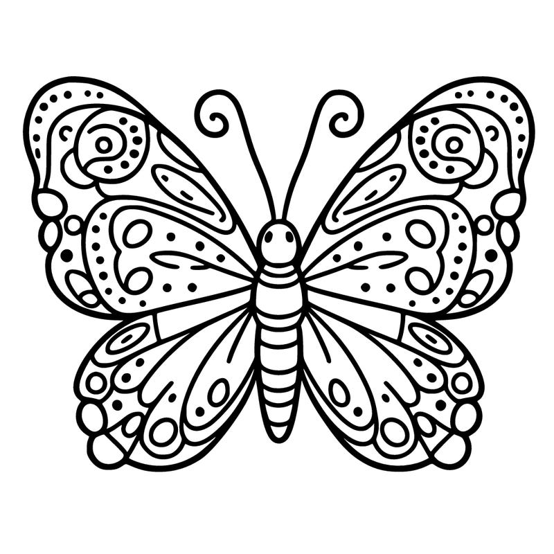 butterfly