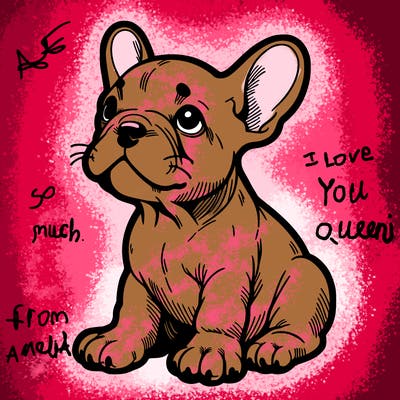 french bulldog puppy