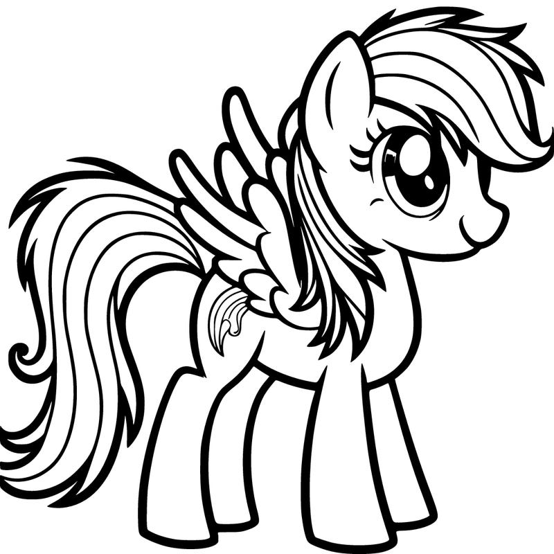 rainbow dash horse