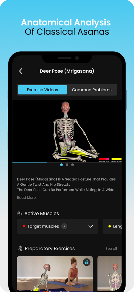 Anatomical analysis of the Deer Pose showing active muscles on a 3D skeleton model in the Yoga by Muscle and Motion app.