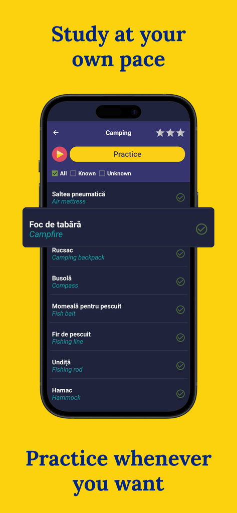 Interface de aplicativo móvel para aprender vocabulário romeno com uma lista de termos relacionados a acampamento e suas traduções para o inglês