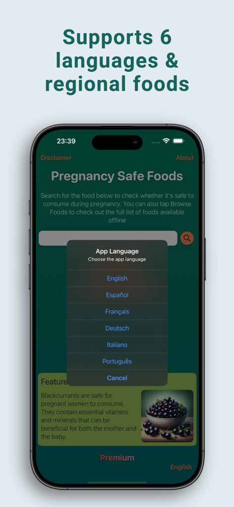 Pregnancy Food Checker & Guide - Mobile app interface showing six language options for pregnancy food safety information