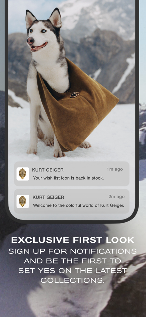 Kurt Geiger: Shop Shoes & Bags - A screen from the Kurt Geiger app showing push notifications for back-in-stock items and new collection alerts