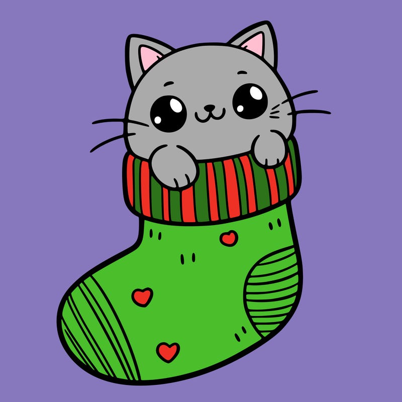 cute cat in a sock