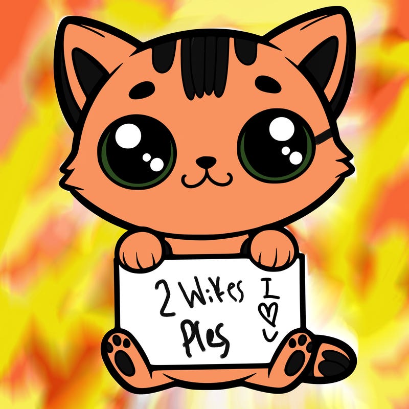 cat with big eyes holding a sign