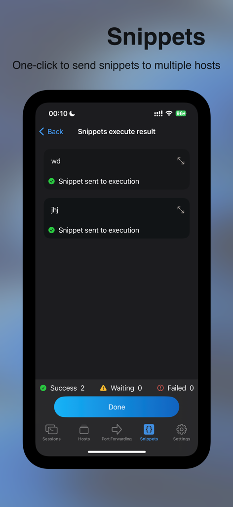Nex Terminal SSH client showing snippet execution results for multiple hosts