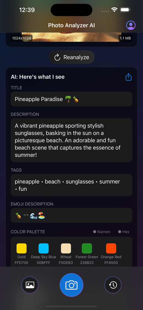 Interface of Photo Analyzer AI showing an image analysis result with generated title description tags and a five color palette with hex codes