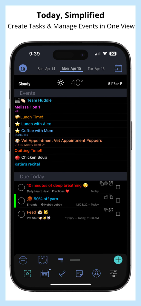 Pocket Informant app interface showing calendar events and daily tasks in a single view