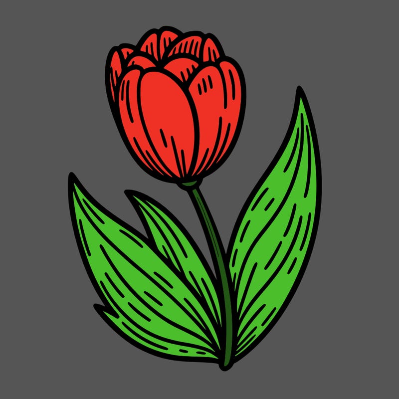 tulip