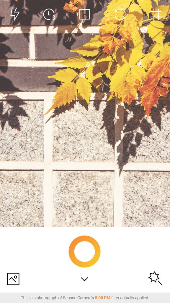 Interface de l'application AUTUMN avec un filtre chaleureux d'heure dorée appliqué à des feuilles d'automne