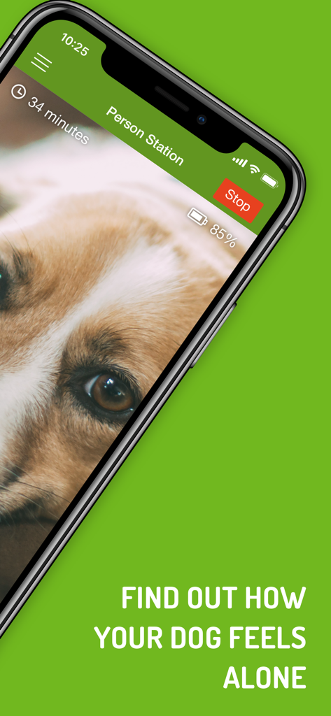 Dog Monitor - iPhone画面にペットの犬のライブビデオフィードを表示するドッグモニターアプリ