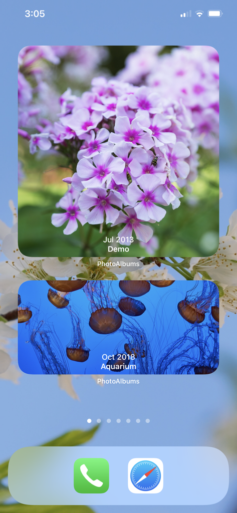 Photo Albums and Widget - Two custom photo widgets on an iPhone home screen displaying flowers and jellyfish