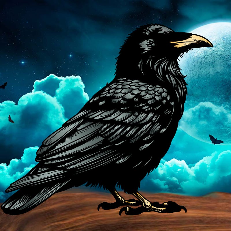 realistic raven