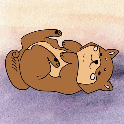 animals_30