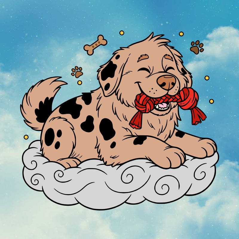big fluffy dog with spots with a toy in his mouth living a dream dog